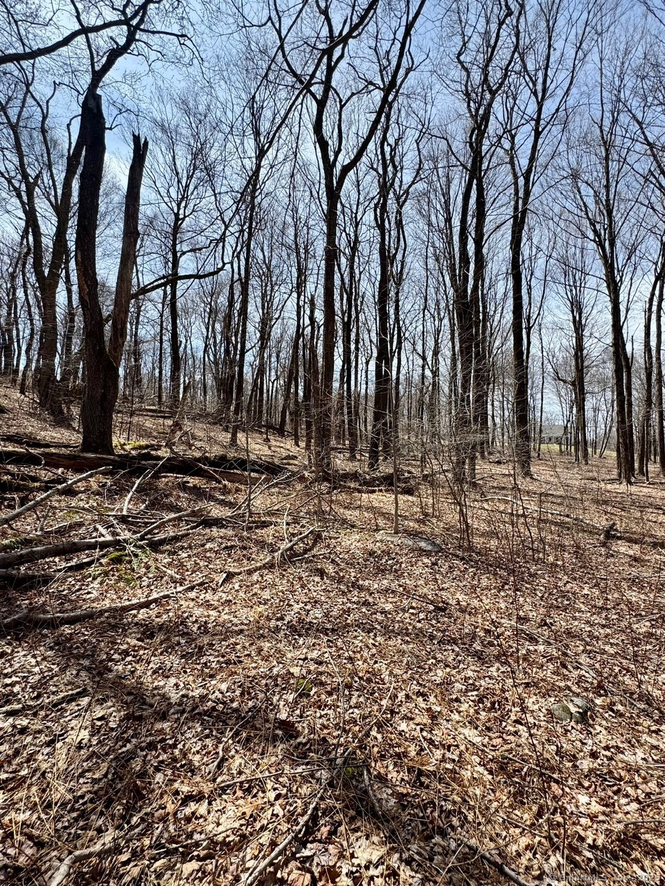 5 Weantinogue Lane, Kent, Connecticut image 1