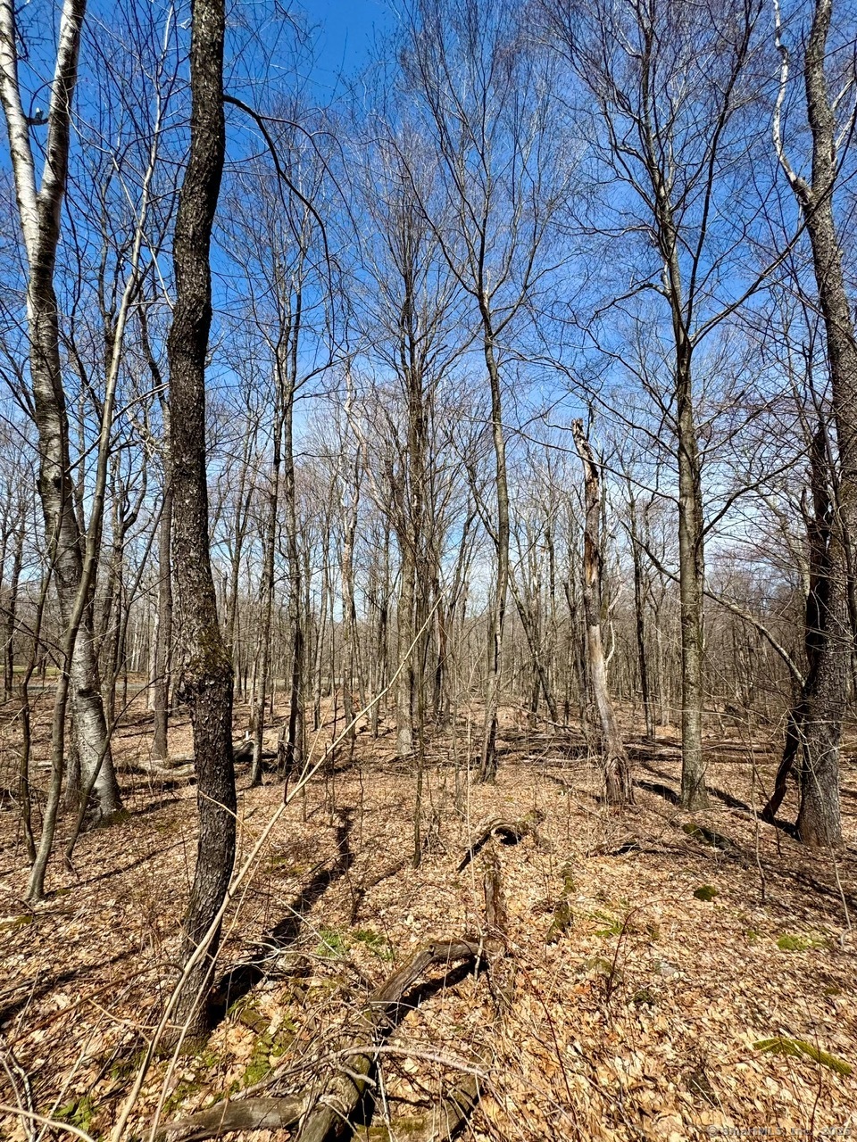 5 Weantinogue Lane, Kent, Connecticut image 7
