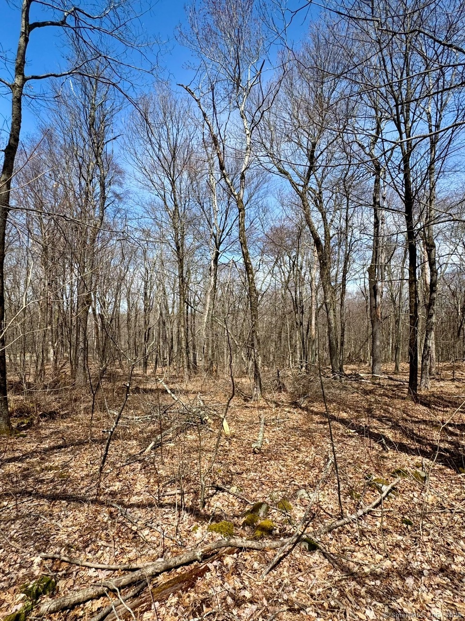 5 Weantinogue Lane, Kent, Connecticut image 9