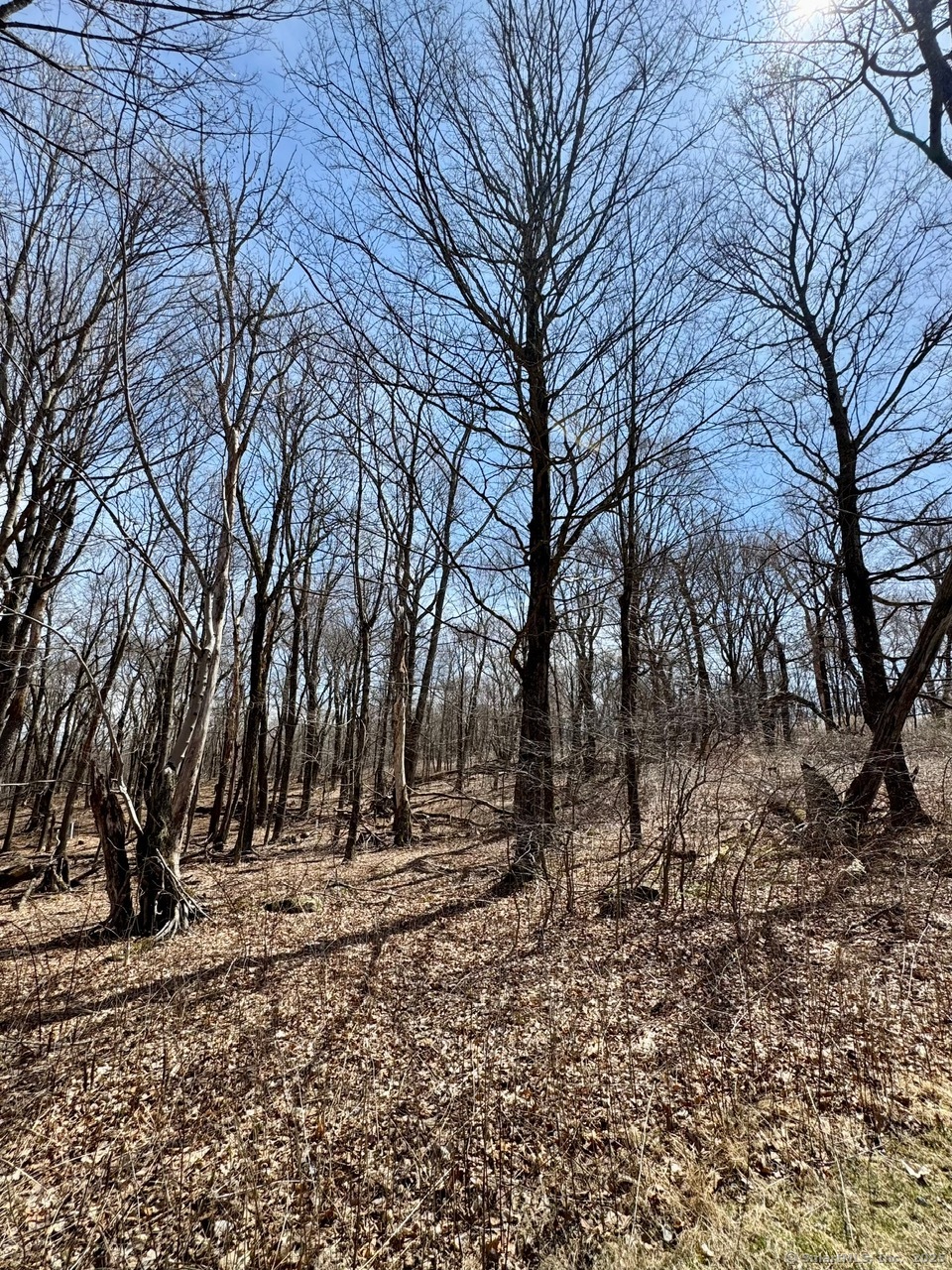 5 Weantinogue Lane, Kent, Connecticut image 6