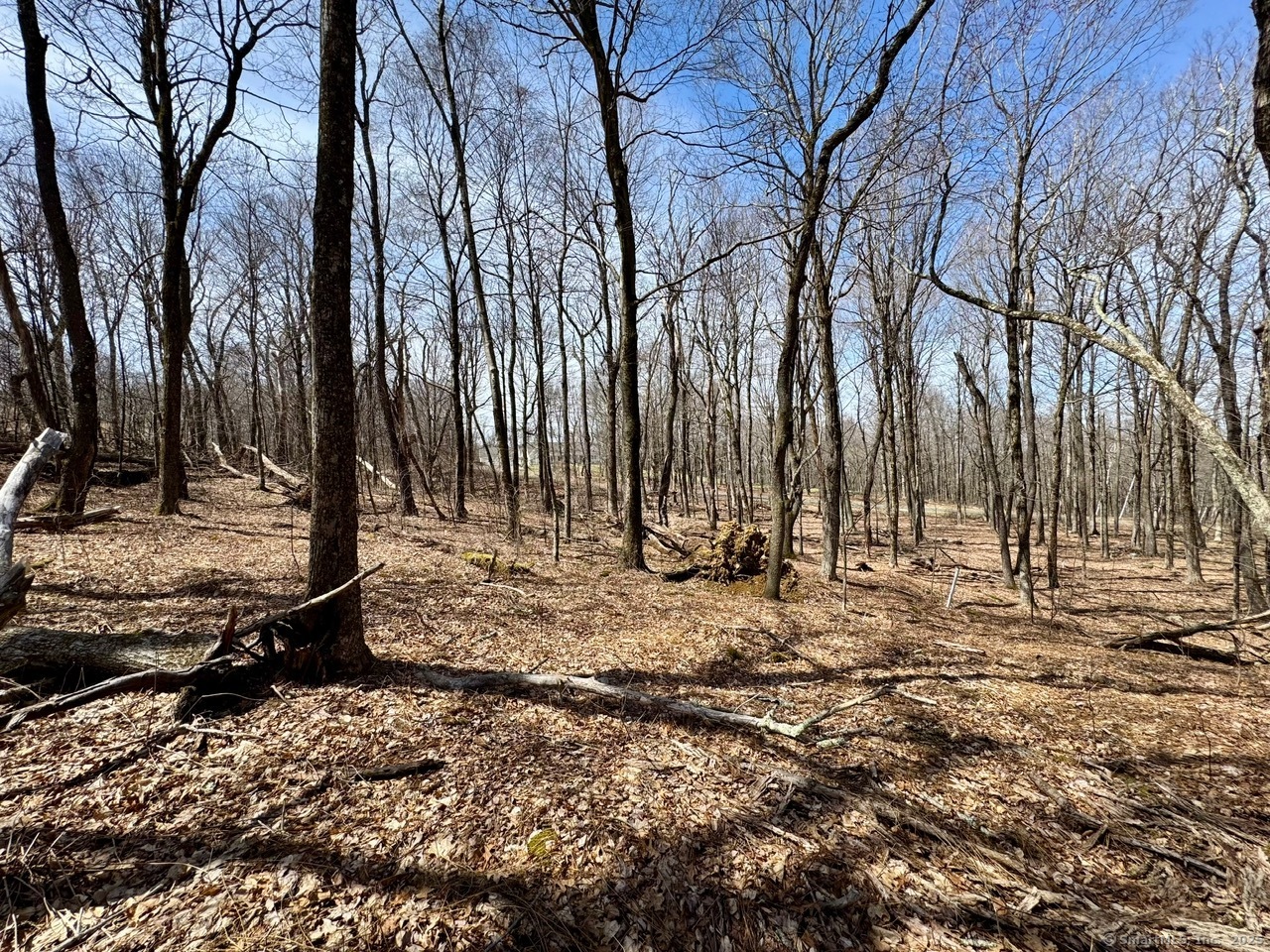 5 Weantinogue Lane, Kent, Connecticut image 17