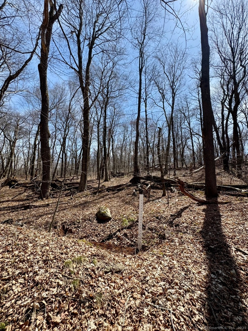 5 Weantinogue Lane, Kent, Connecticut image 26