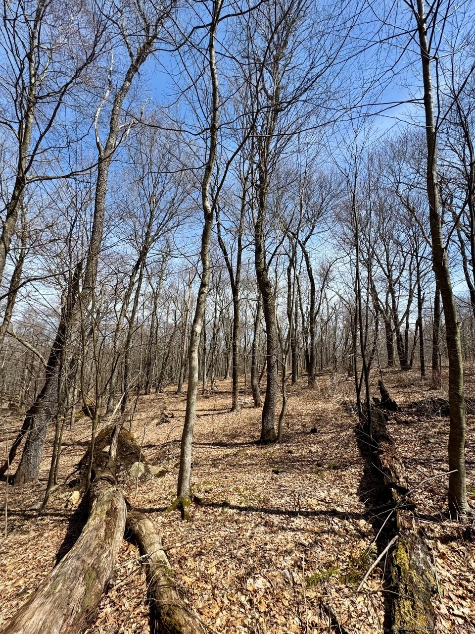 5 Weantinogue Lane, Kent, Connecticut image 8