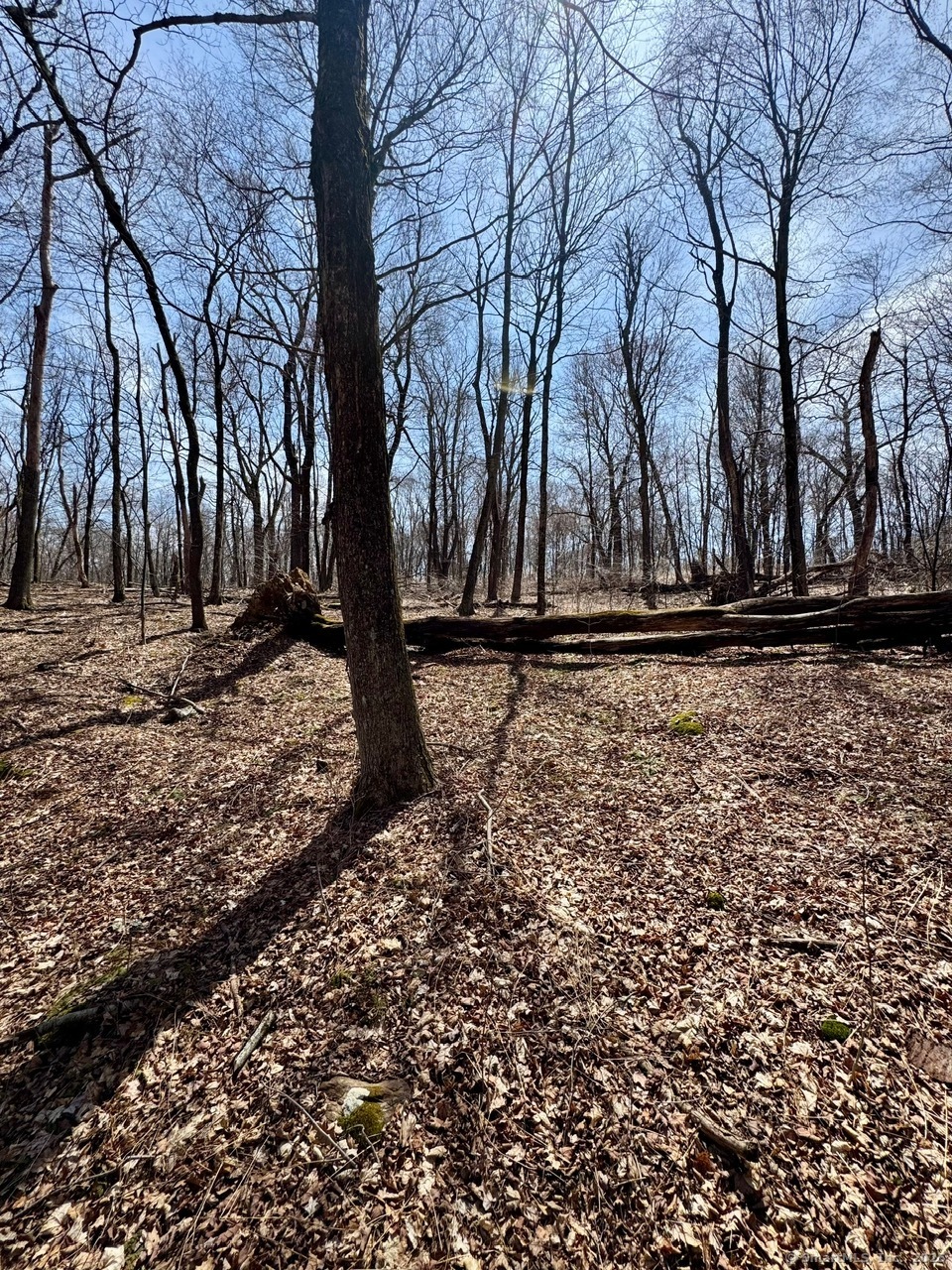 5 Weantinogue Lane, Kent, Connecticut image 27