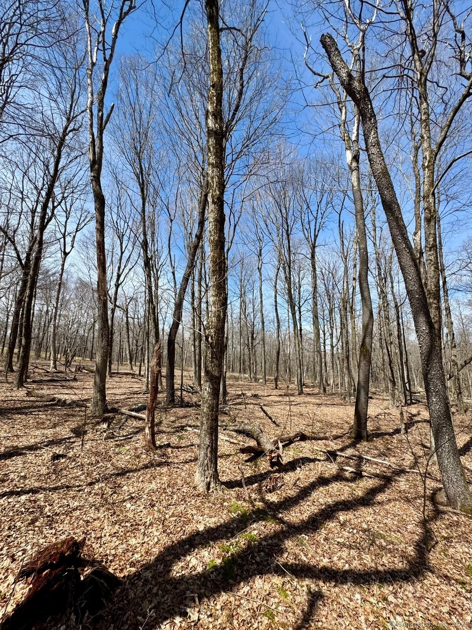 5 Weantinogue Lane, Kent, Connecticut image 4