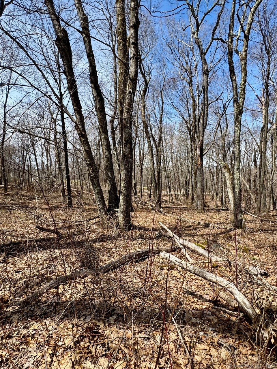 5 Weantinogue Lane, Kent, Connecticut image 23