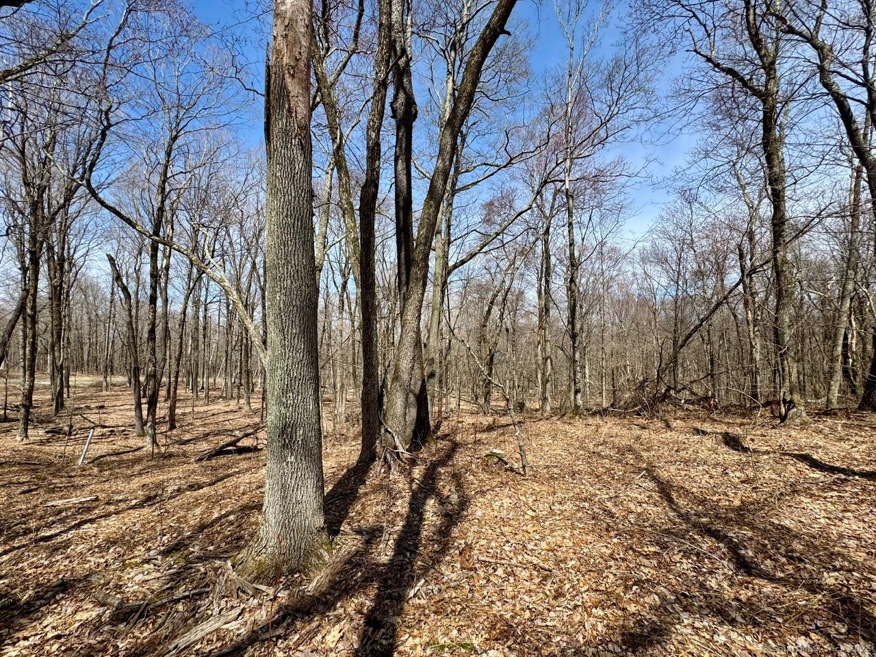 5 Weantinogue Lane, Kent, Connecticut image 16