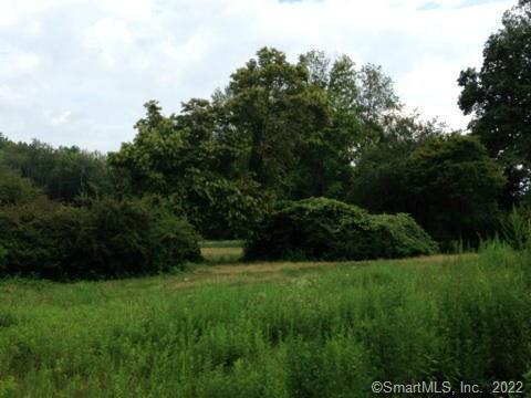 Photo 3 of 14 of 158L Carter Street land