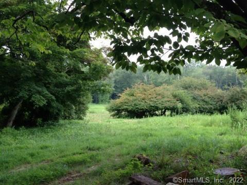 Photo 4 of 14 of 158L Carter Street land