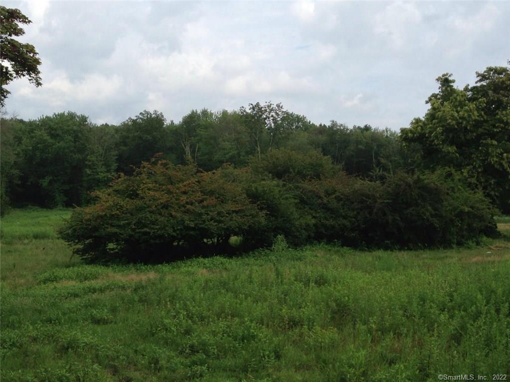 Photo 11 of 14 of 158L Carter Street land