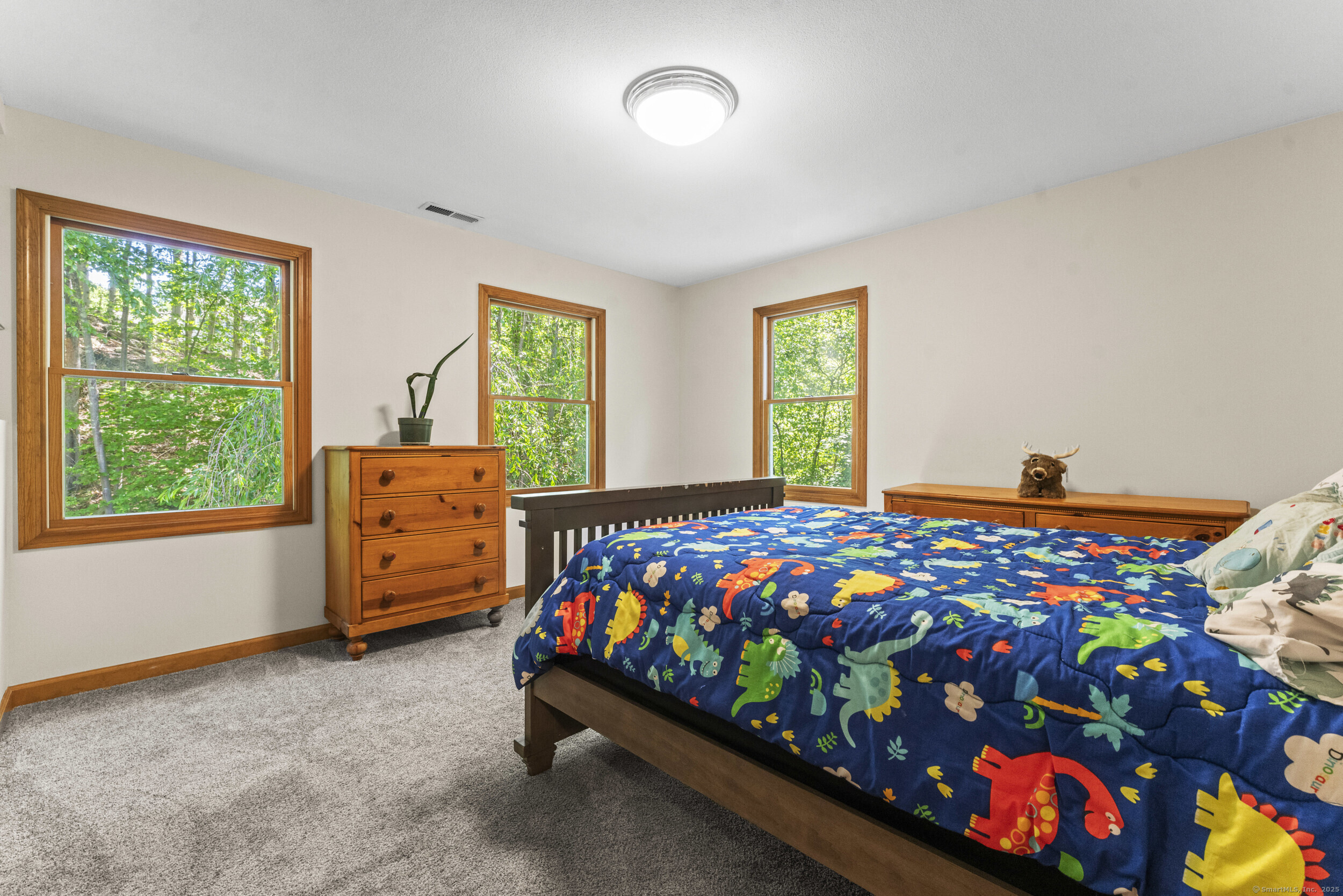 74R Green Lane, Durham, Connecticut image 18