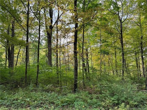 0 Lake Road Warren CT 06754