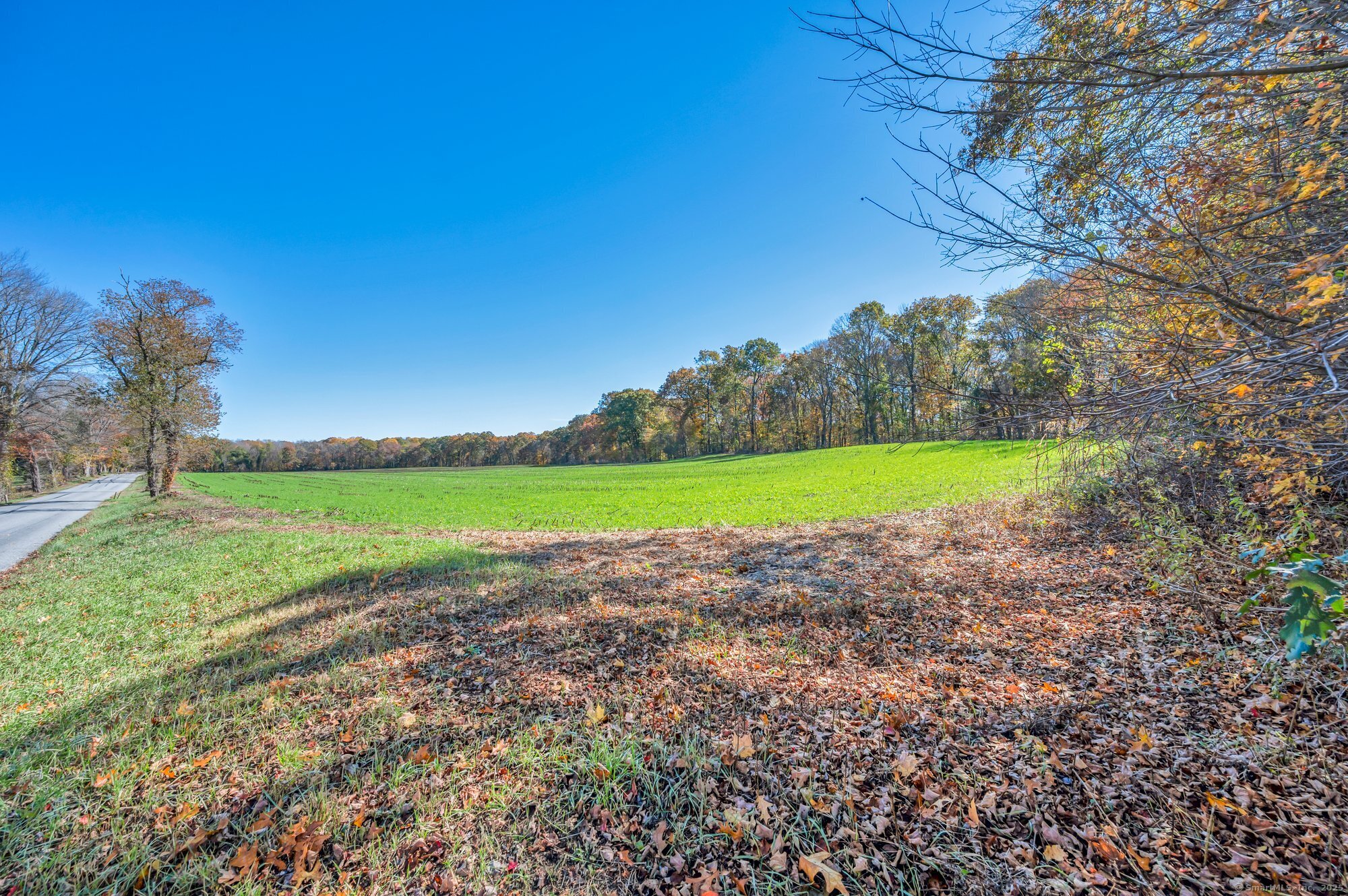 Franklin, Connecticut 06254, United States, ,Land,Pending,234243