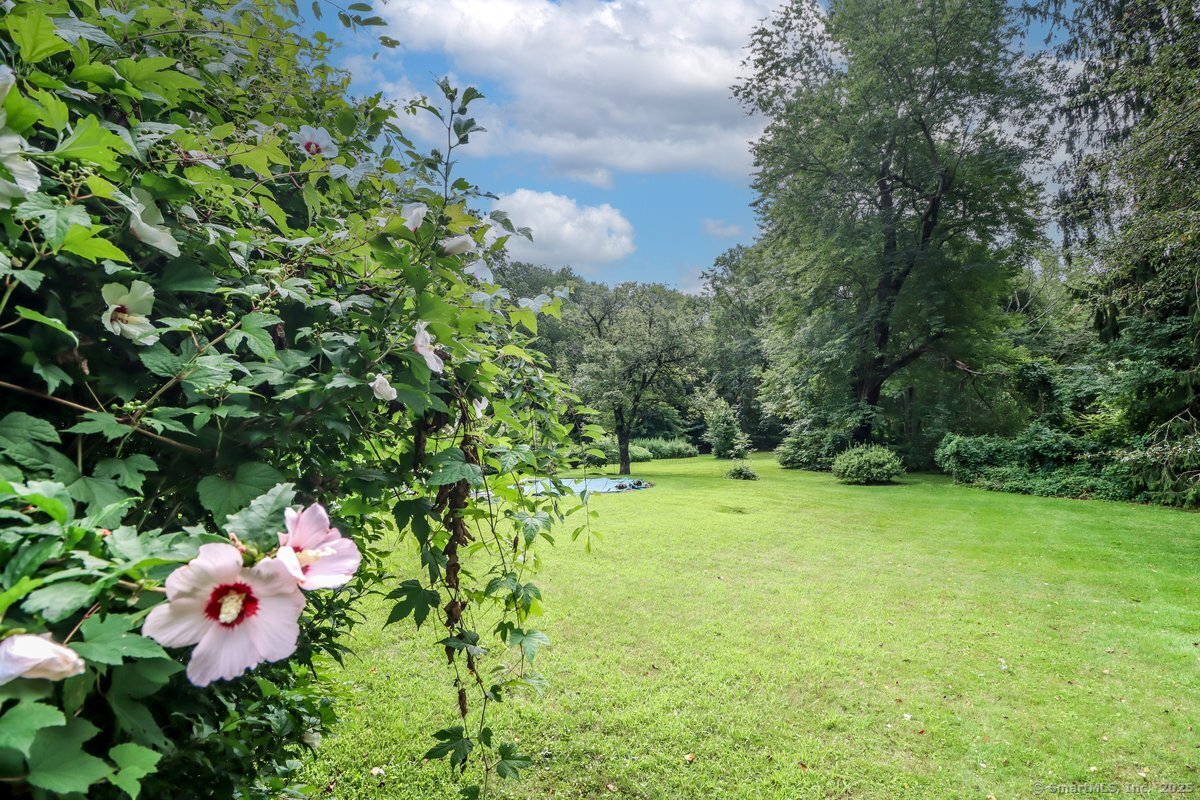 Greenwich, Connecticut 06831, United States, 3 Bedrooms Bedrooms, ,3 BathroomsBathrooms,Residential,Active,223602