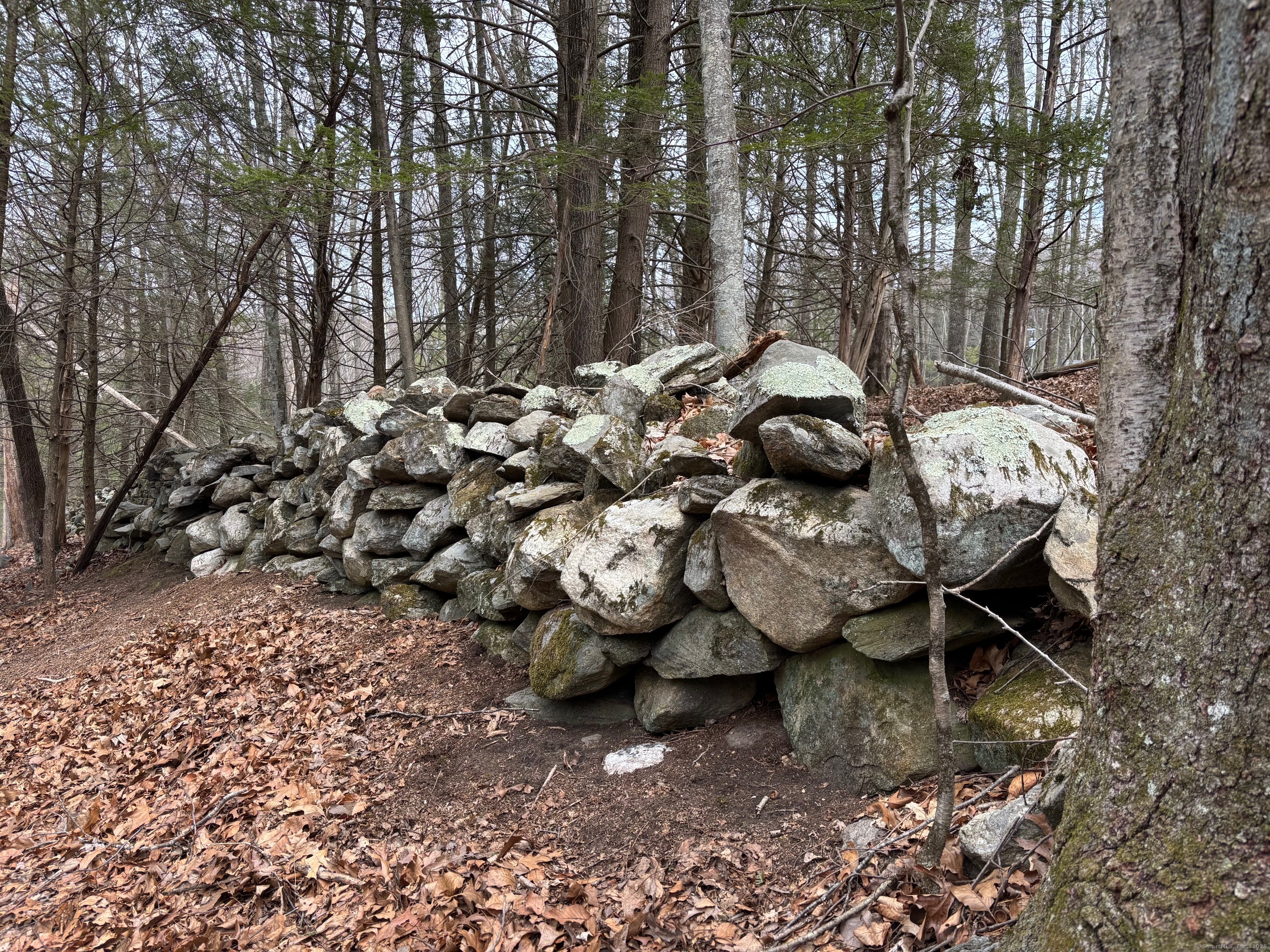 Lot 3 Chalybes Road, Roxbury, Connecticut image 9
