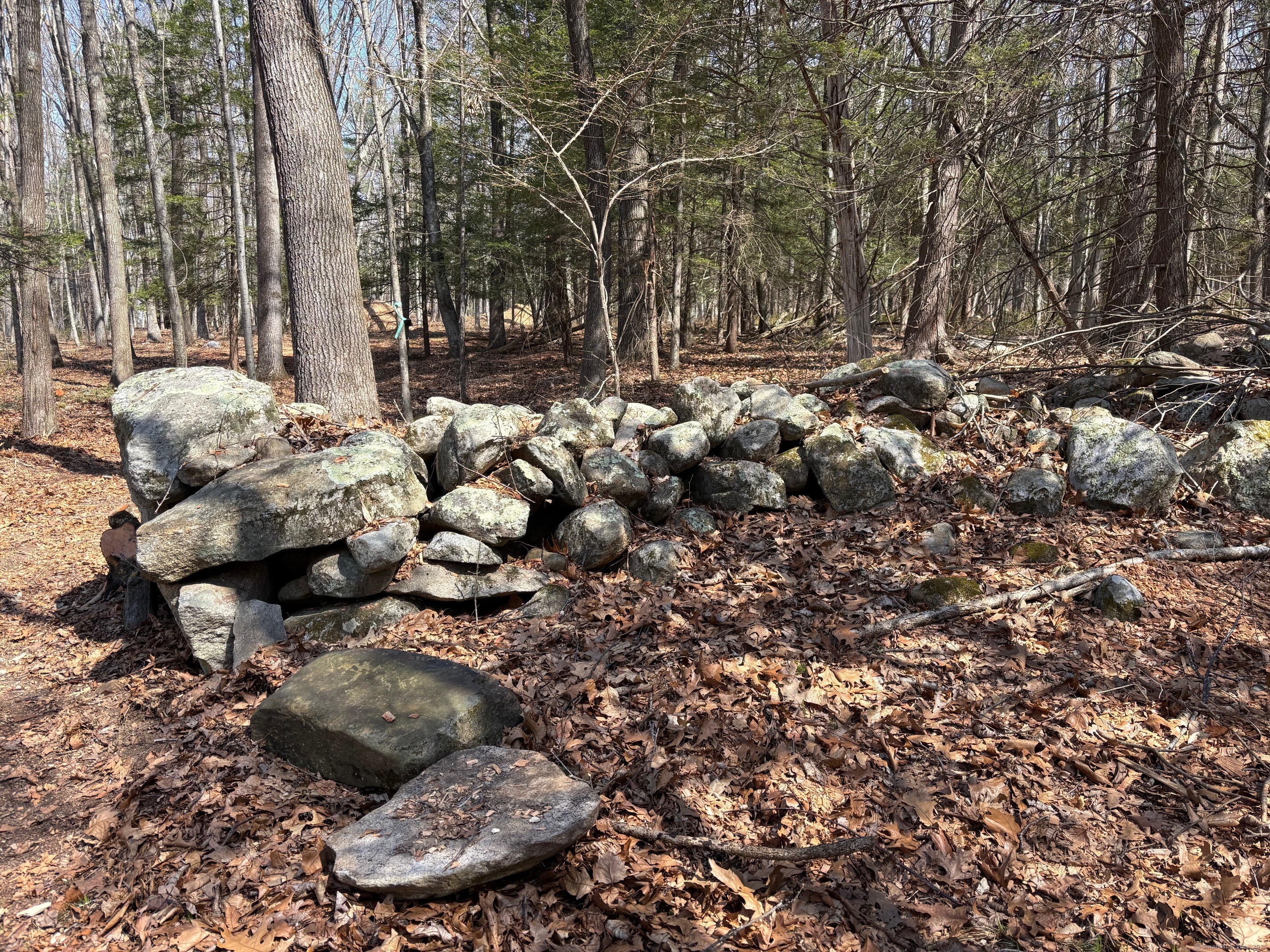 Lot 3 Chalybes Road, Roxbury, Connecticut image 5