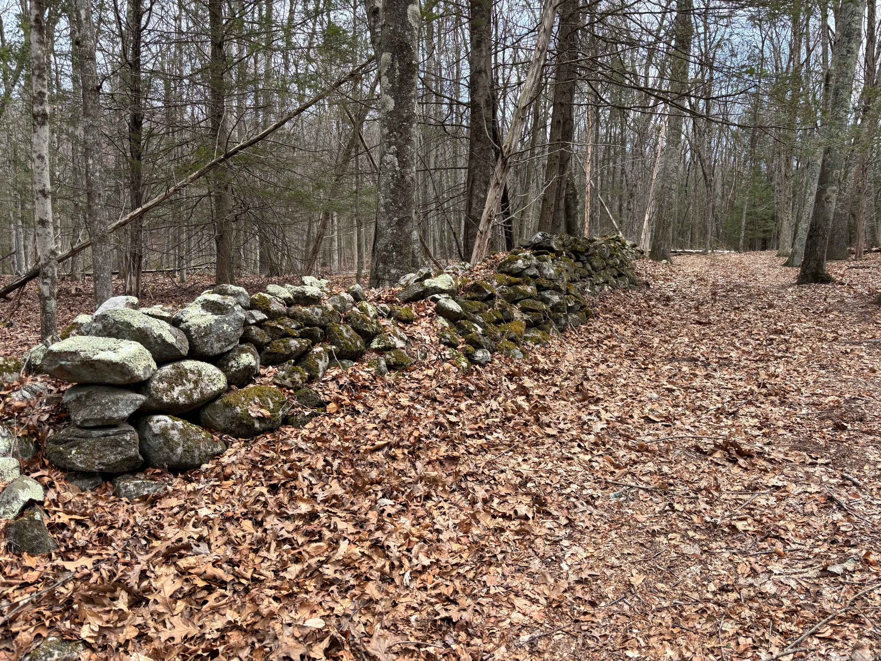 Lot 3 Chalybes Road, Roxbury, Connecticut image 7