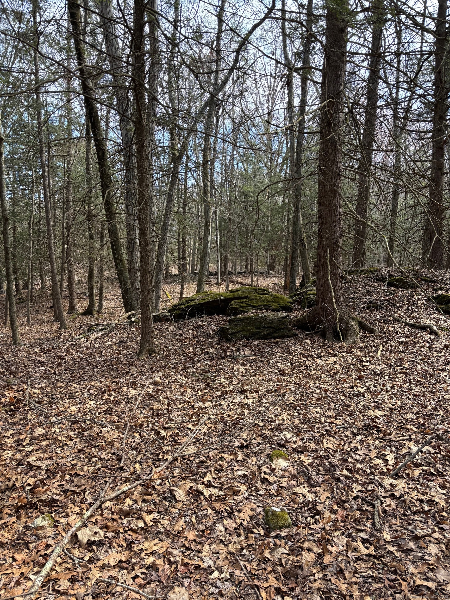 Lot 3 Chalybes Road, Roxbury, Connecticut image 10