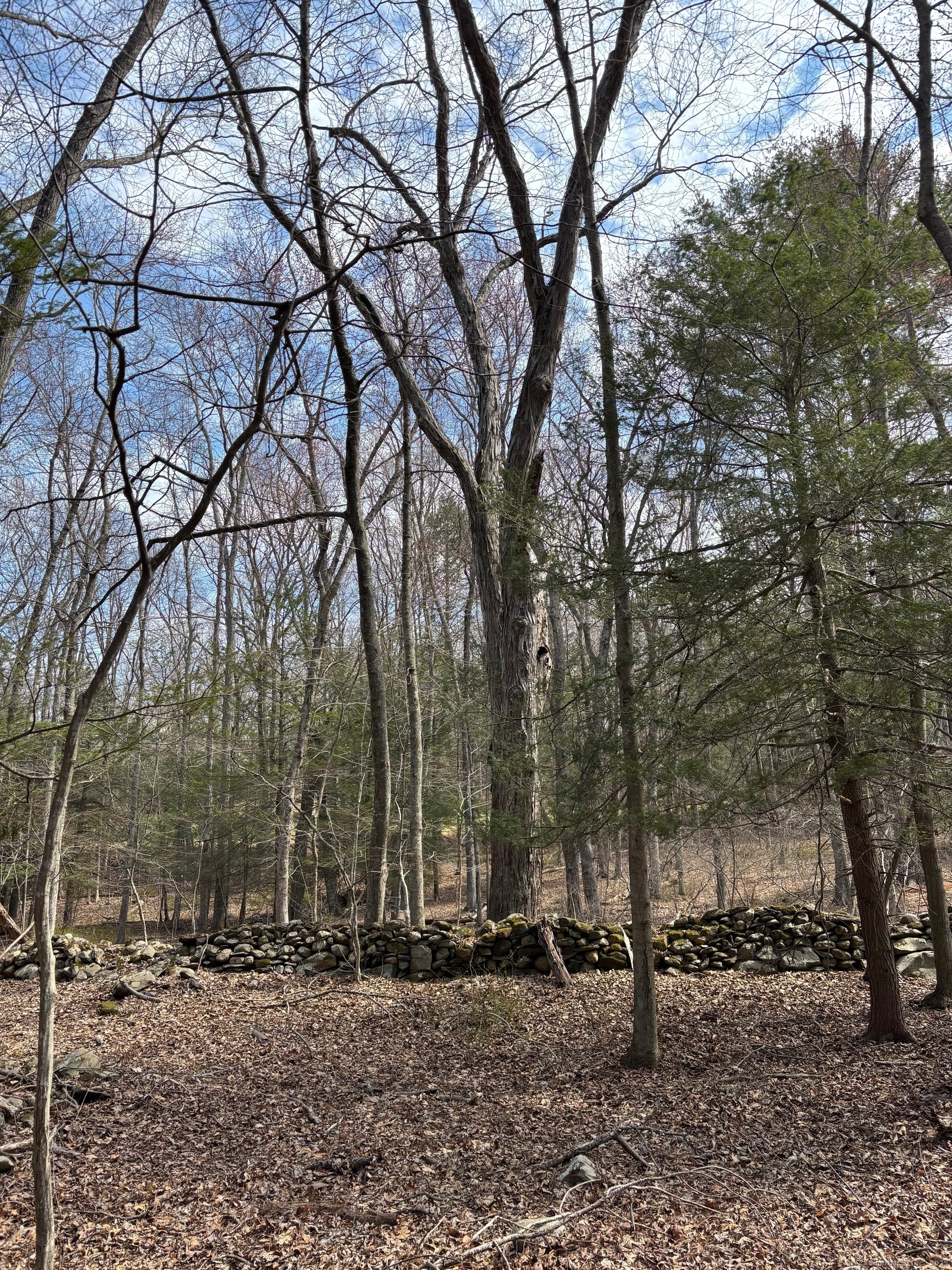 Lot 3 Chalybes Road, Roxbury, Connecticut image 11