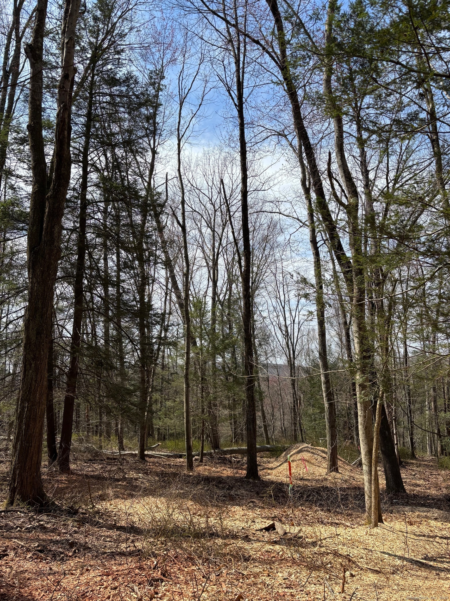 Lot 3 Chalybes Road, Roxbury, Connecticut image 6