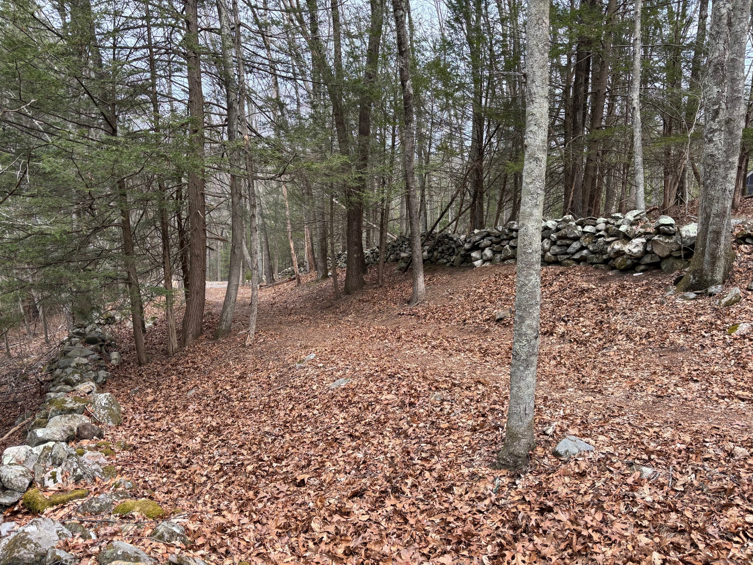 Lot 3 Chalybes Road, Roxbury, Connecticut image 8