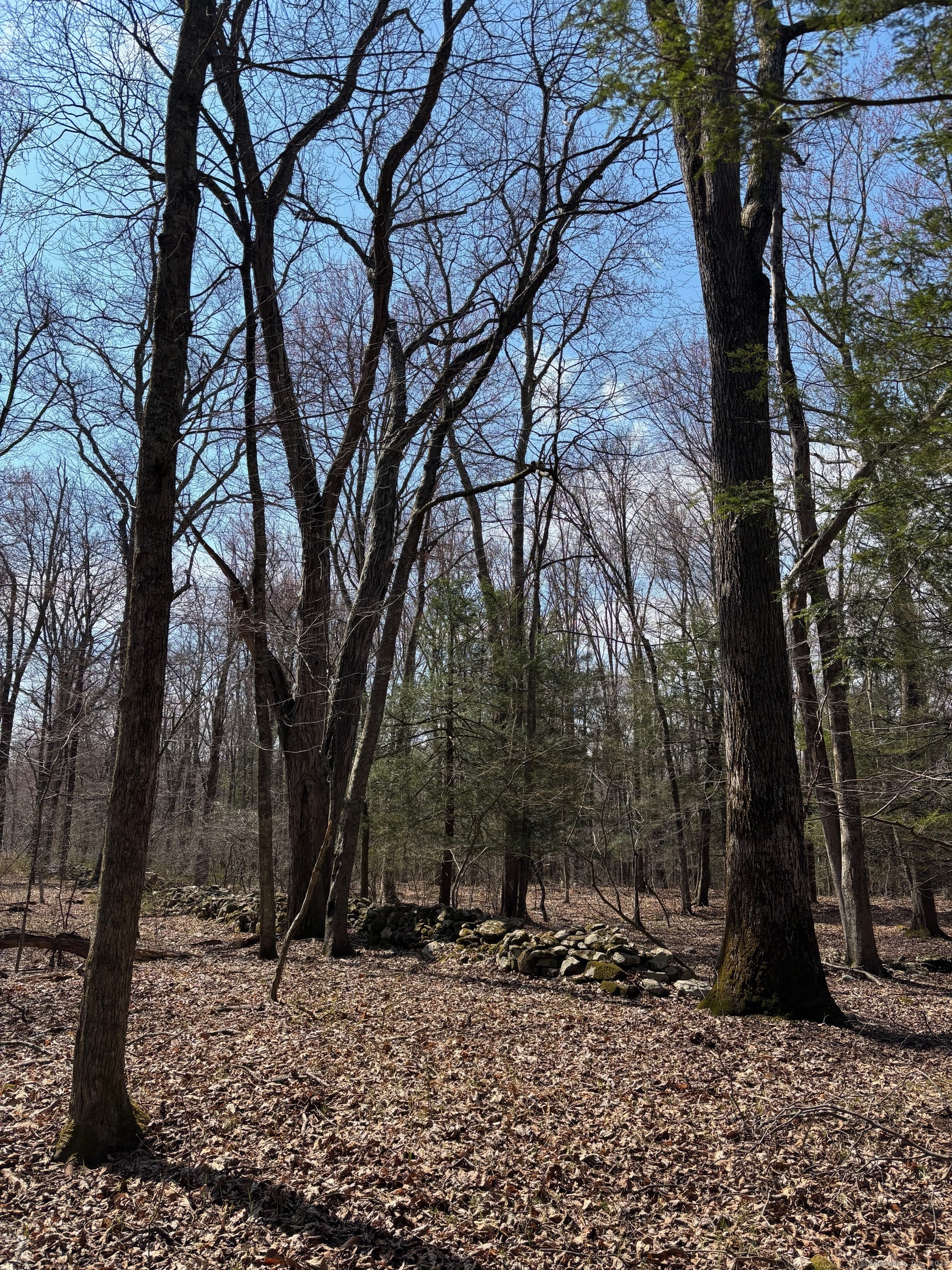 Lot 3 Chalybes Road, Roxbury, Connecticut image 3