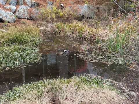 Tiny photo for 6 Avon Court #6, Beacon Falls, CT 06403 (MLS # 24138435)