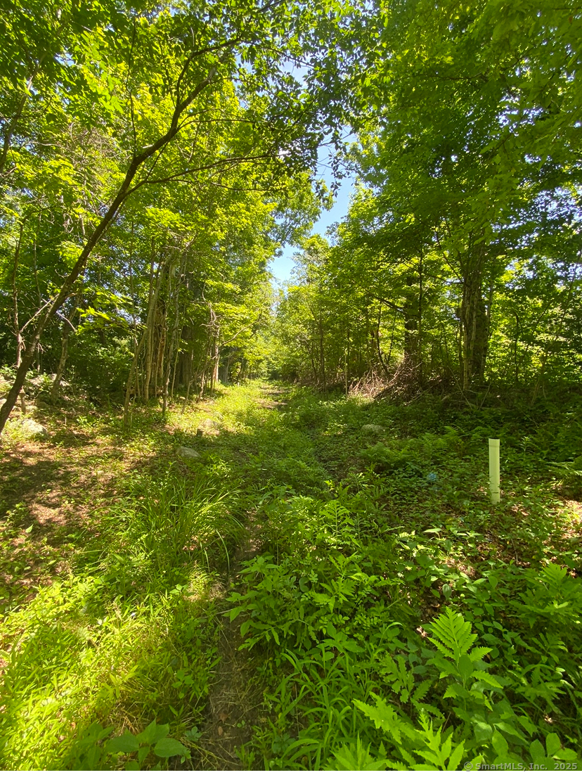 00 Zola Road