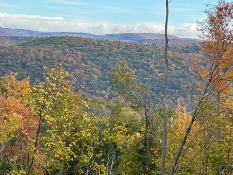 Vacant Land For Sale - 39 Swaller Hill Road #LOT 3<br/> Sharon, CT 06069