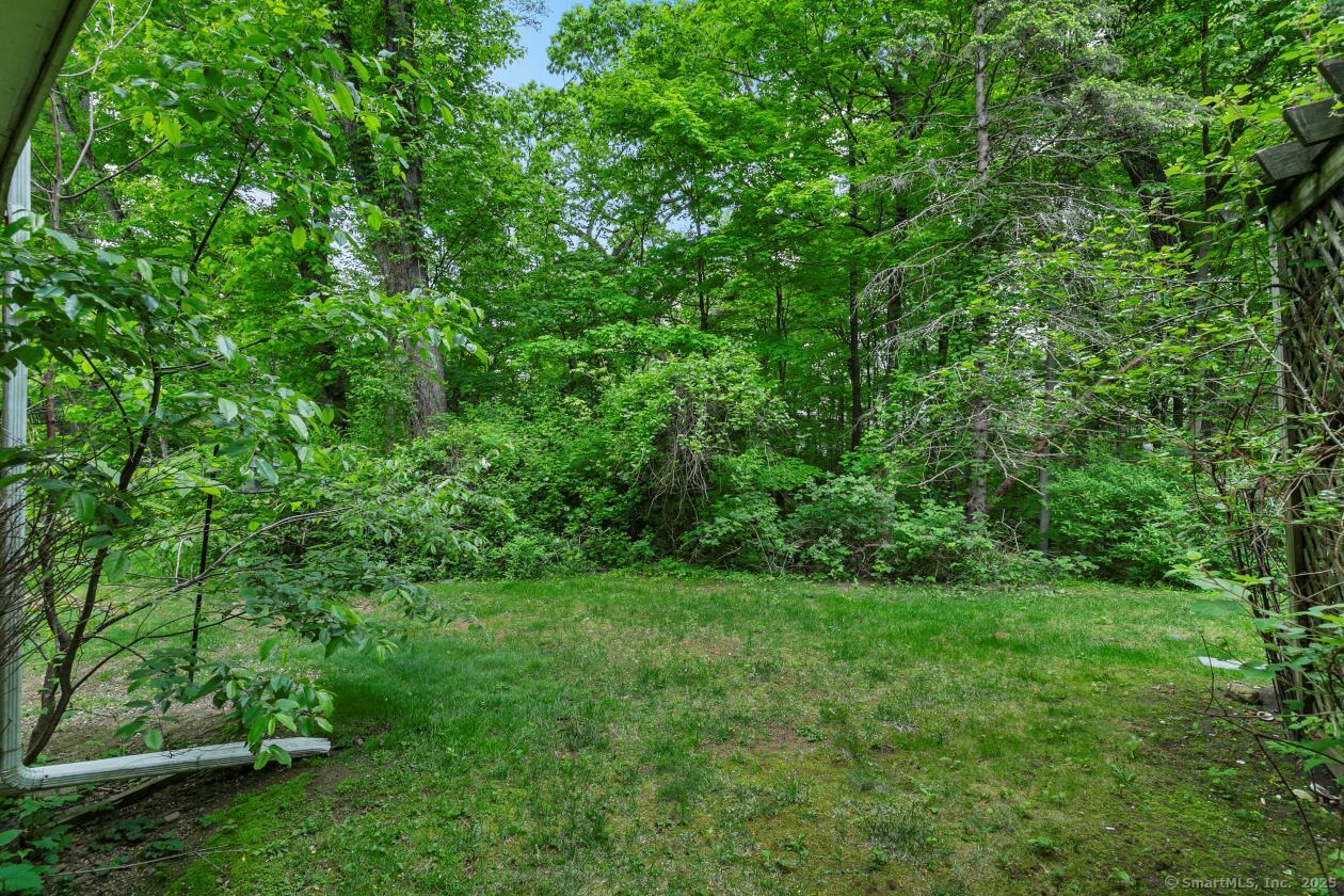 138 Rising Trail Drive #138, Middletown, Connecticut image 27