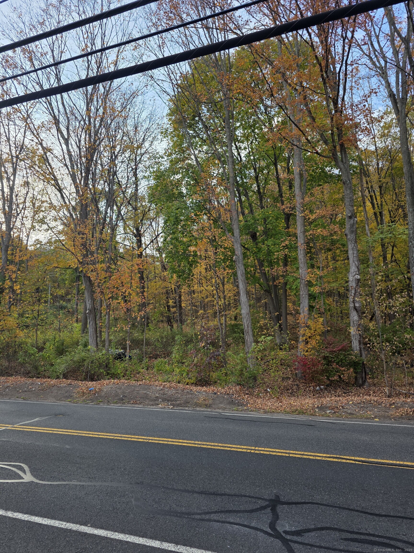 295 & 305 (Lot 103 & Lot Oregon Street