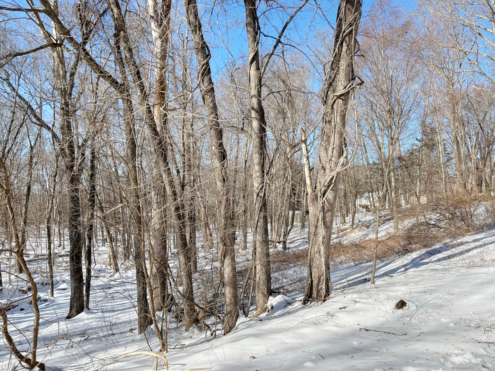 177 Blueberry Hill Road, Bridgewater, Connecticut image 28