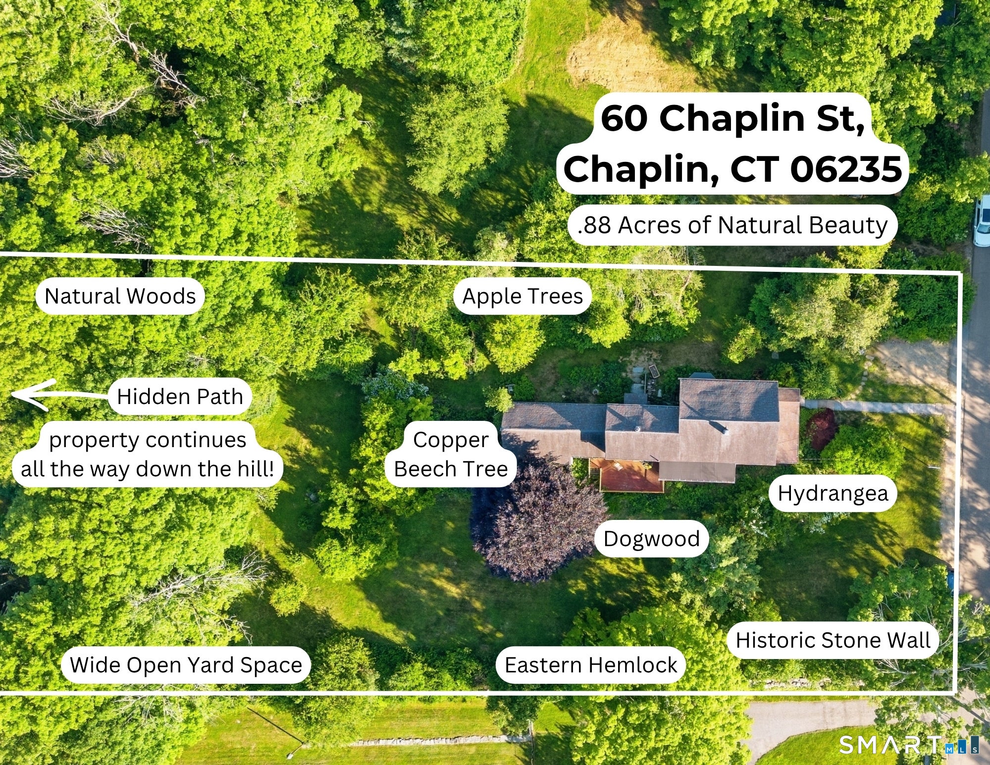 60 Chaplin Street