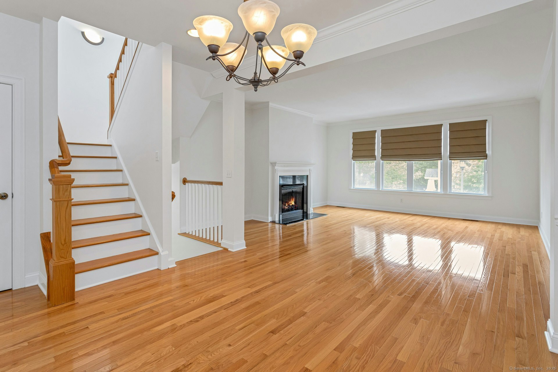 53 Lawrence Avenue 53