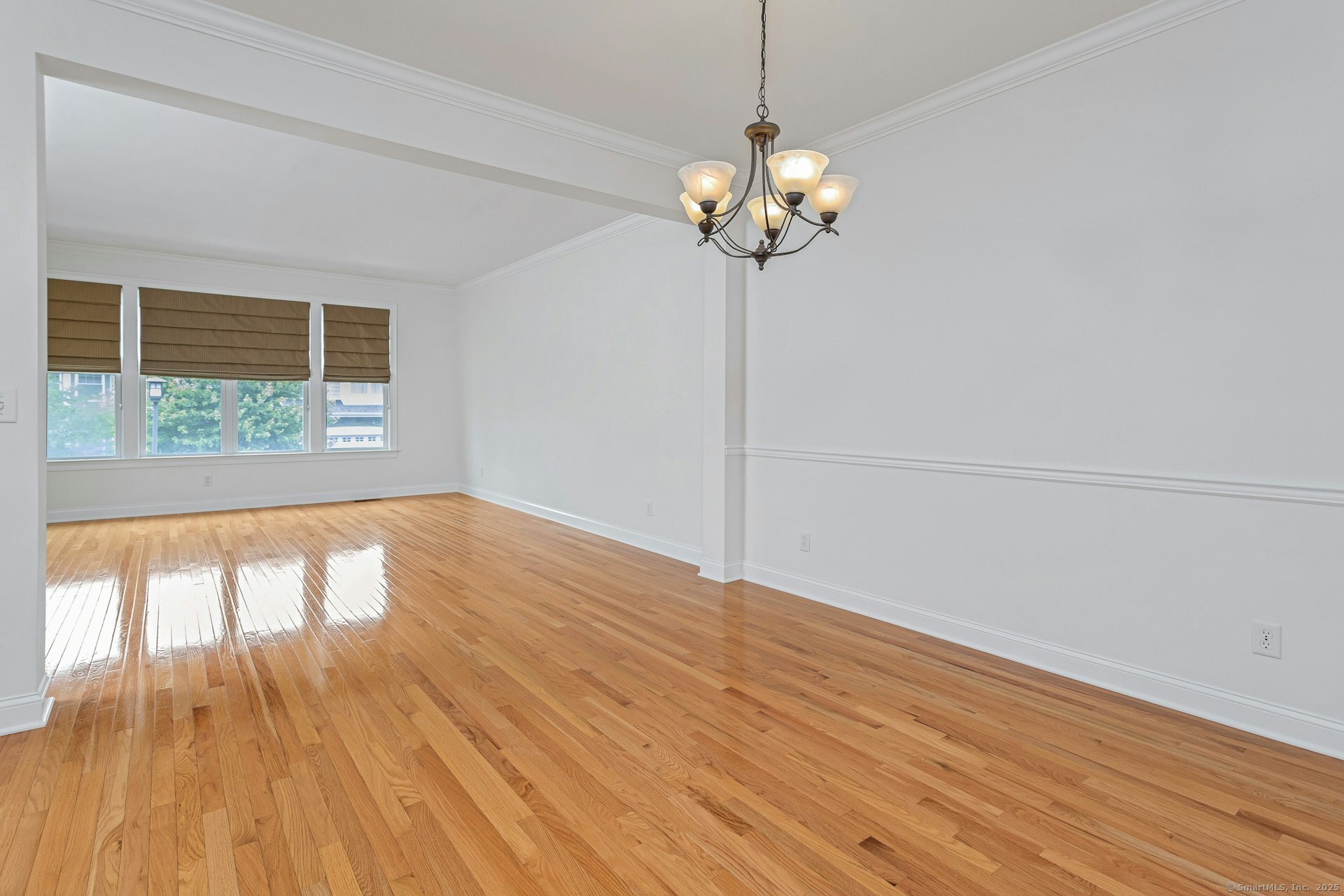 53 Lawrence Avenue 53
