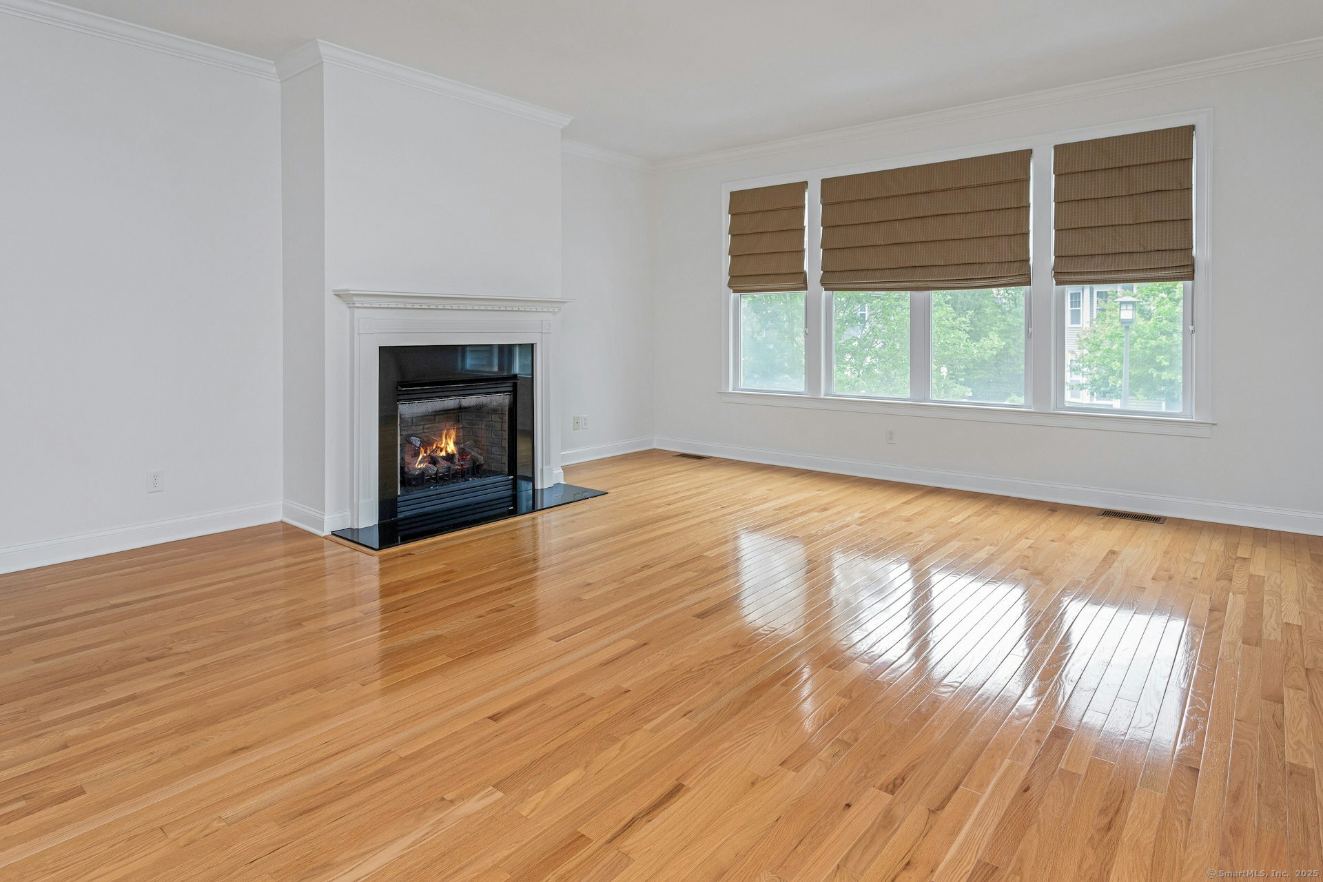 53 Lawrence Avenue 53