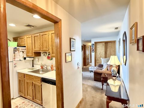 Tiny photo for 166 Old Brookfield Road #20B2, Danbury, CT 06811 (MLS # 24145400)