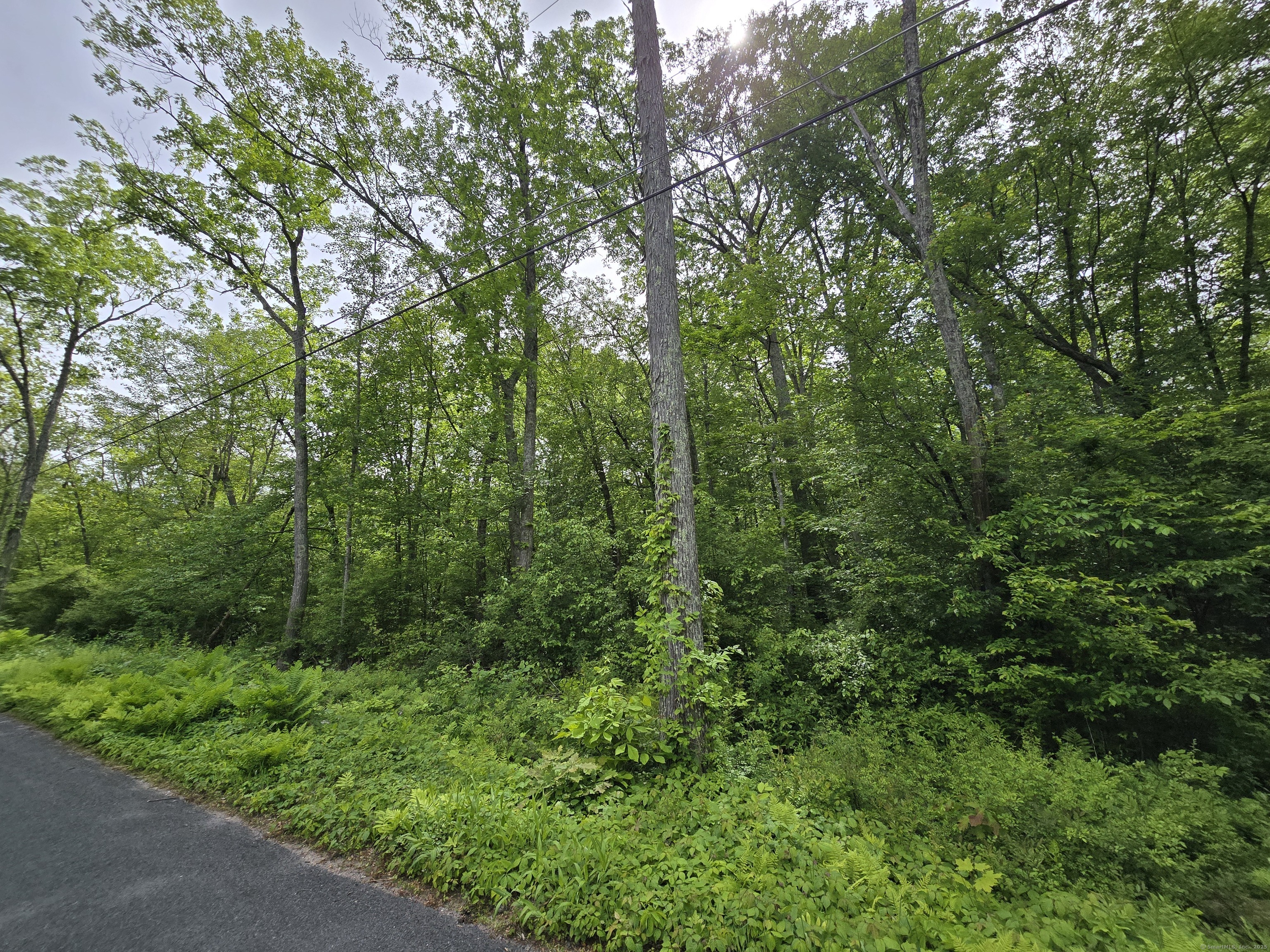 76 Wales Road, Andover, Connecticut image 14