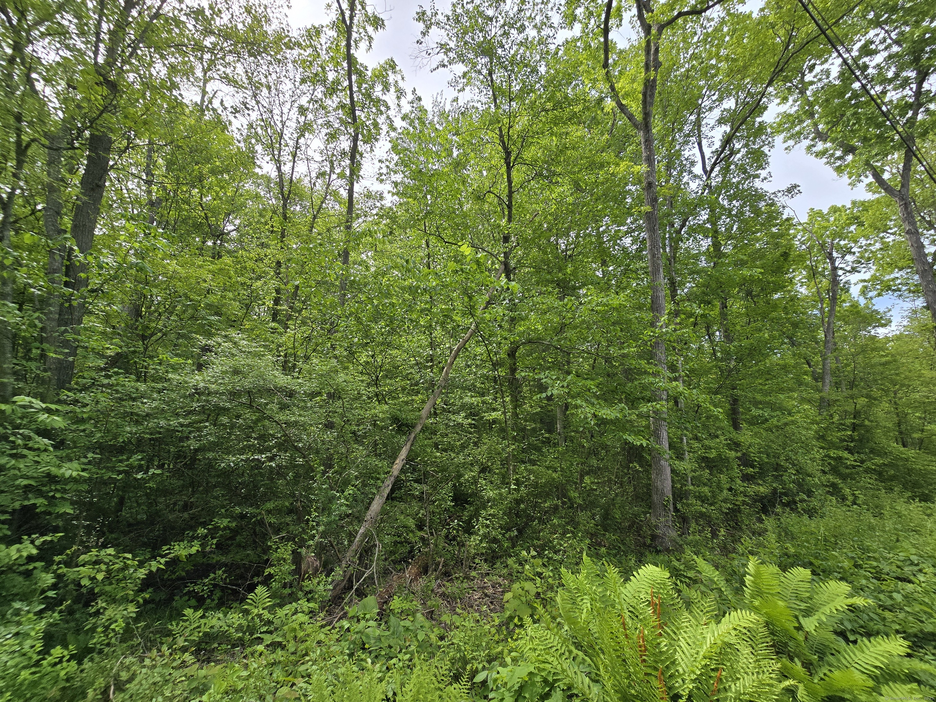 76 Wales Road, Andover, Connecticut image 6