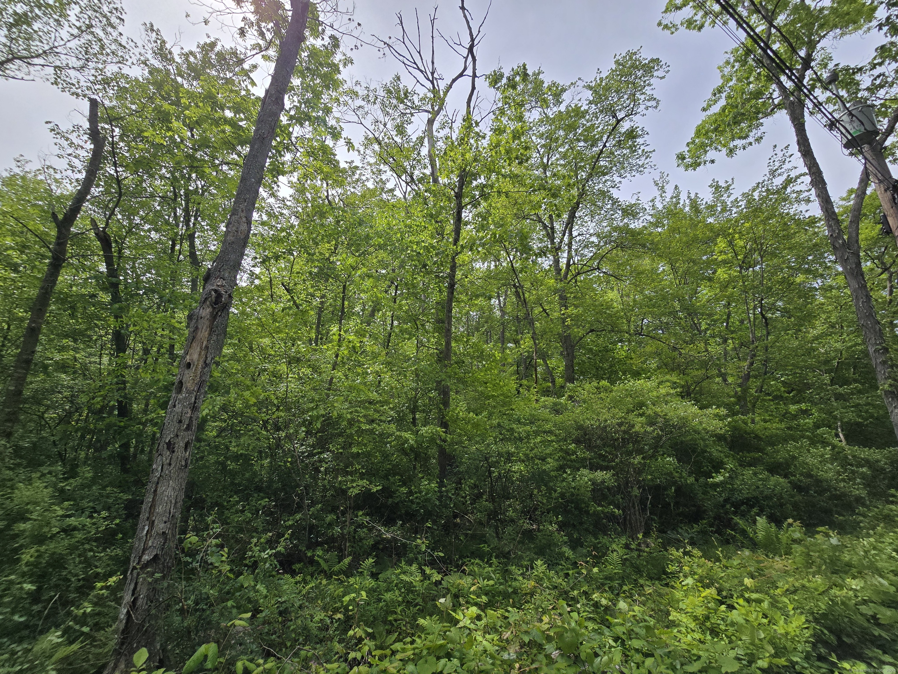76 Wales Road, Andover, Connecticut image 9