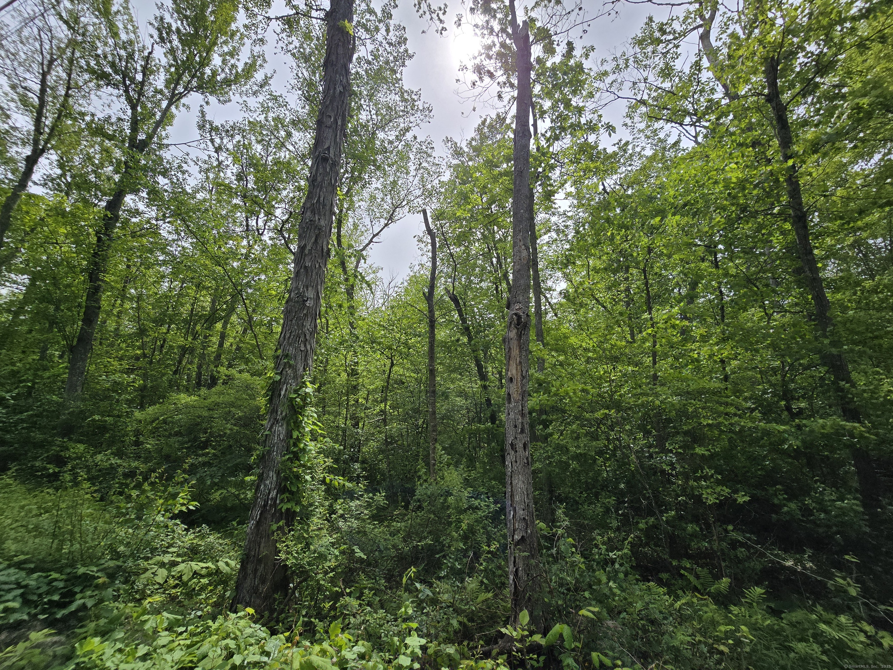 76 Wales Road, Andover, Connecticut image 8