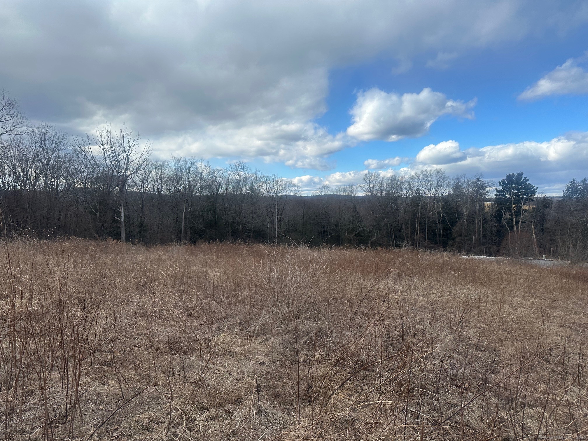 Meadowcrest Drive North 15