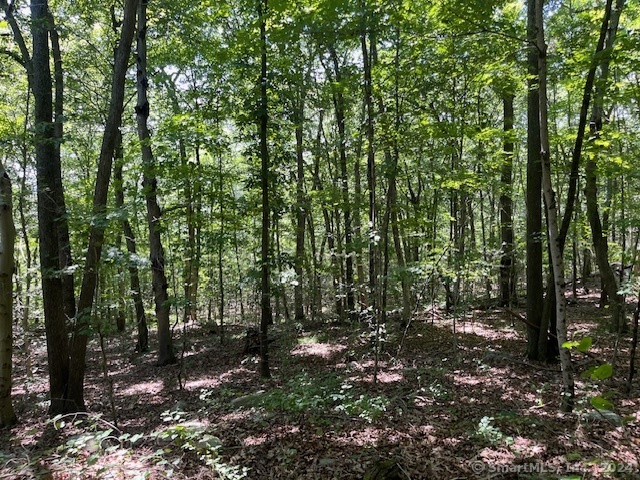 158 Fitch Hill Road, Montville, Connecticut image 6
