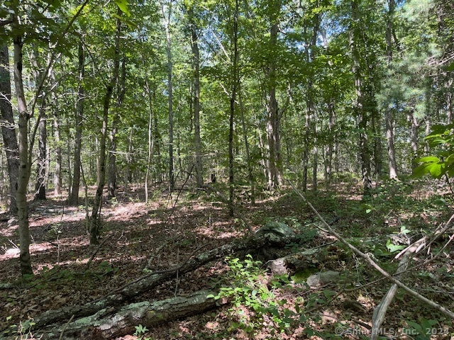 158 Fitch Hill Road, Montville, Connecticut image 4
