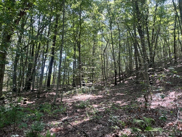 158 Fitch Hill Road, Montville, Connecticut image 11
