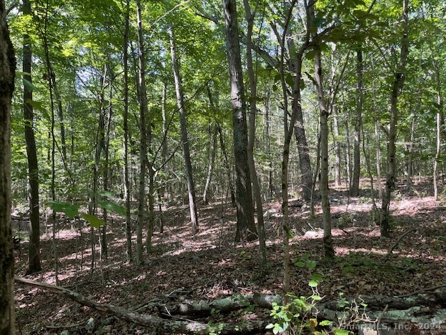 158 Fitch Hill Road, Montville, Connecticut image 5