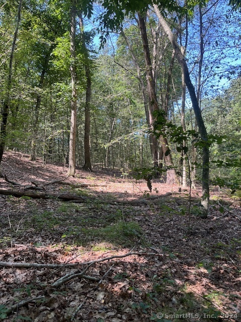 158 Fitch Hill Road, Montville, Connecticut image 12