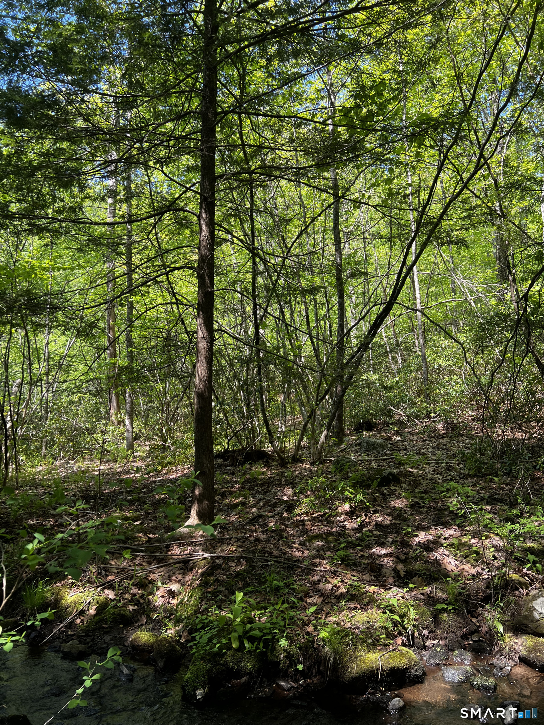 131 Stub Hollow Road