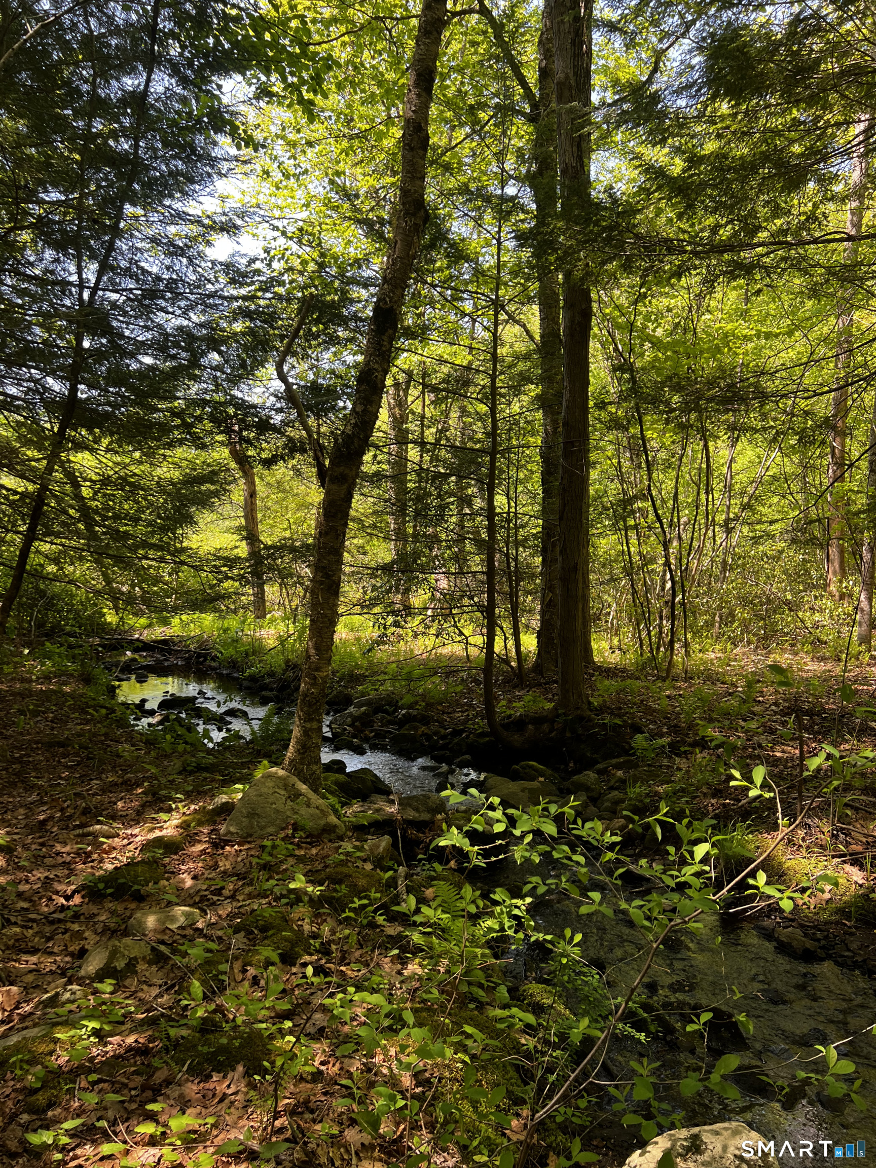 131 Stub Hollow Road