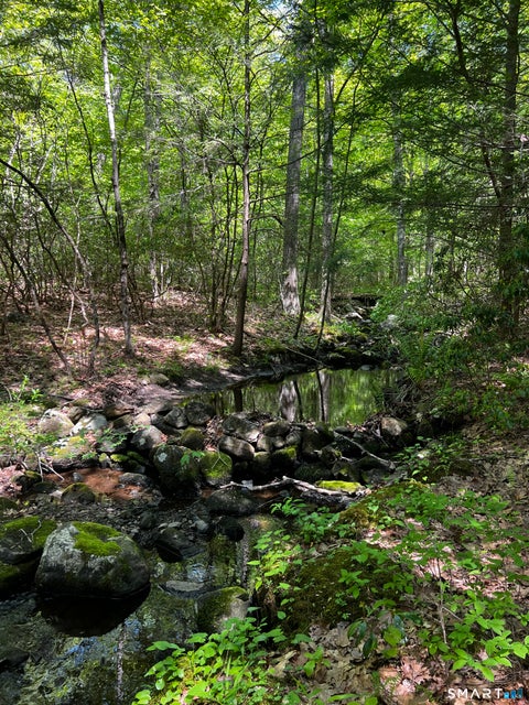 Vacant Land For Sale - 131 Stub Hollow Road<br/> New Hartford, CT 06057